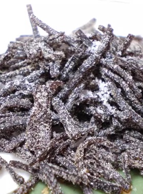 旨味海带丝 食彩之国 料理塩こんぶ下饭100g 味道鲜美 日式盐昆布