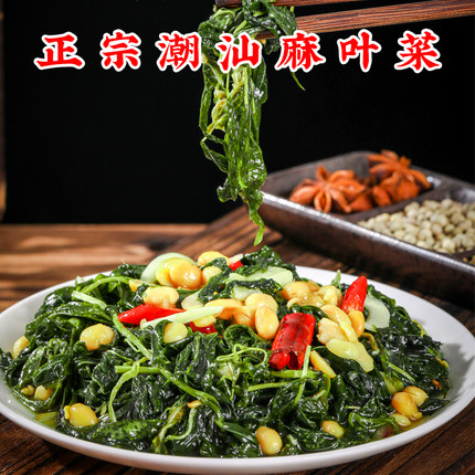 正宗潮汕特产麻叶菜配粥下饭小菜新鲜脱水制作半成品真空包装