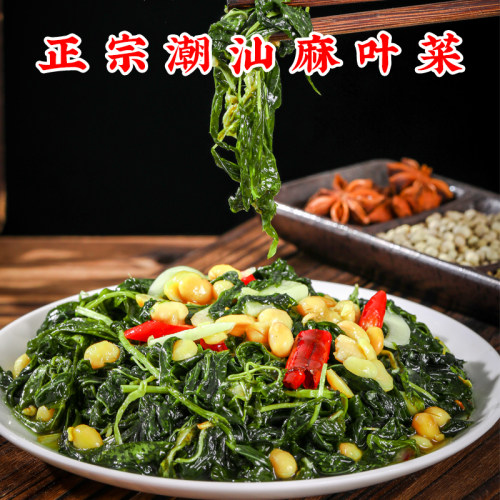 正宗潮汕特产麻叶菜配粥下饭