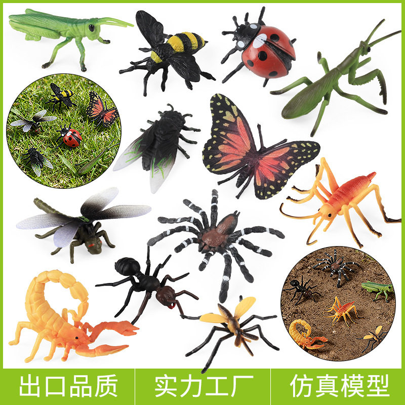 跨境实心认知昆虫动物模型仿真蜜蜂蜘蛛蝴蝶蜻蜓螳螂蚂蚁蝎子玩具