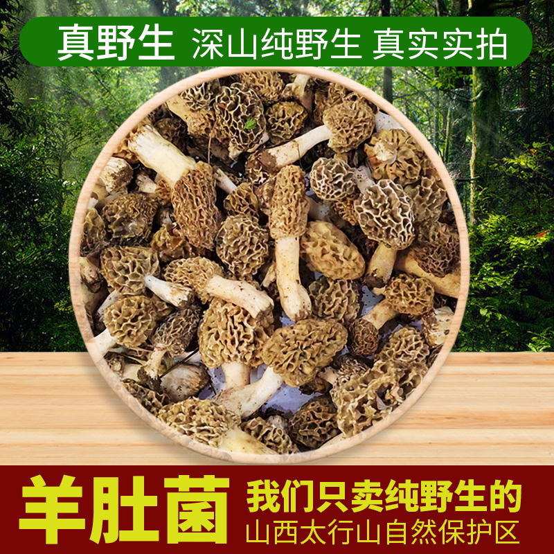 野生羊肚菌天然营养高味道香肉厚