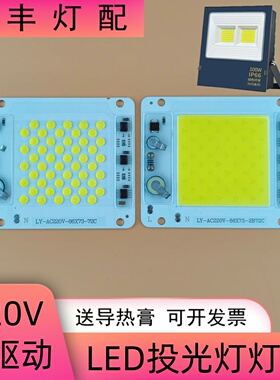 免驱动220V投光灯led灯芯板5054黑金刚亚明7070投射灯维修光源板