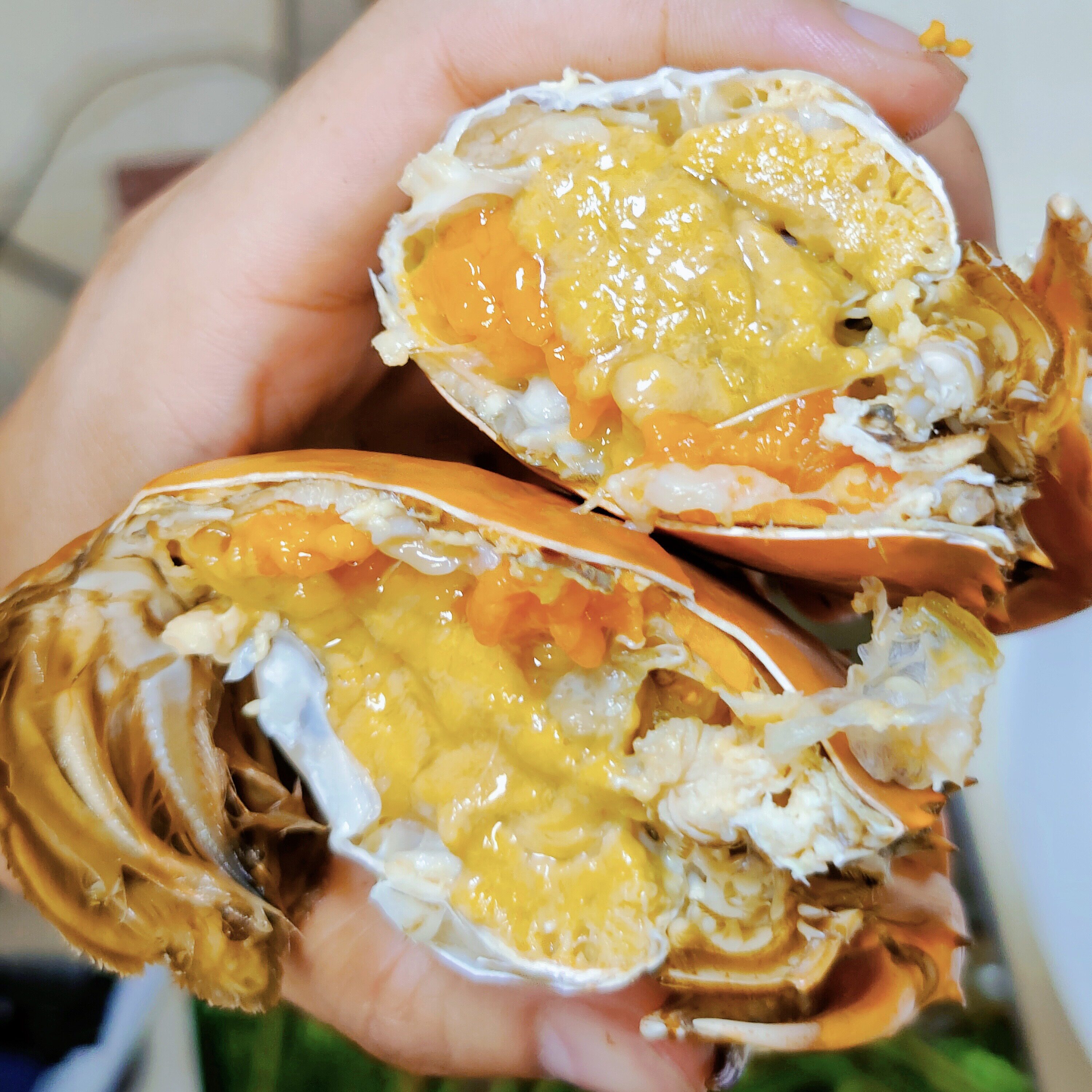 【广东野生黄油蟹】膏油蟹 半膏半油 青蟹母蟹螃蟹海鲜顺丰包鲜活