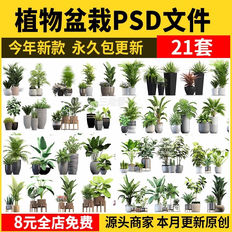 室内盆栽绿植花盆植物组合ps素材 现代简约客厅摆件免抠psd免抠图