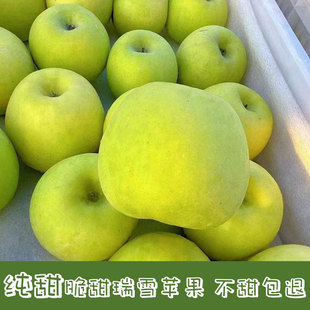 山东青岛当季瑞雪苹果纯甜新鲜水果4.5斤包邮脆甜多汁青森