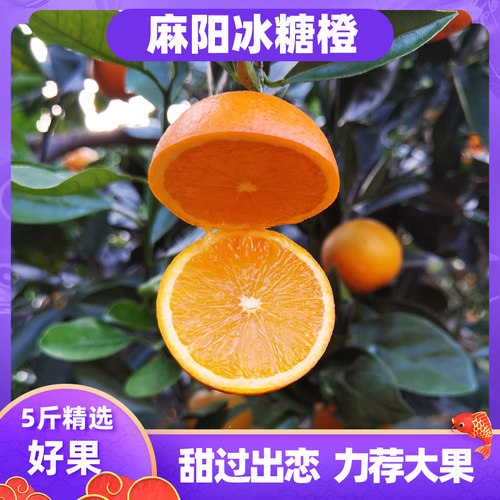 湖南橙子果果牛鲜甜多汁