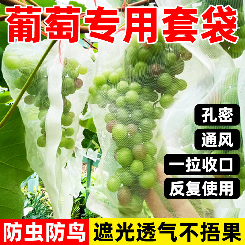 水果套袋防鸟防虫专用袋番茄番茄葡萄草莓无花果网套袋保护袋子