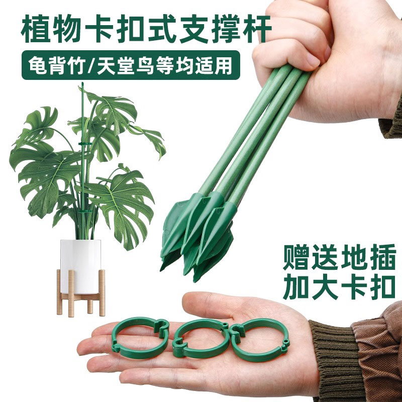 花架阳台2026新款龟背竹植物支撑杆固定神器月季爬藤防倒伏支架