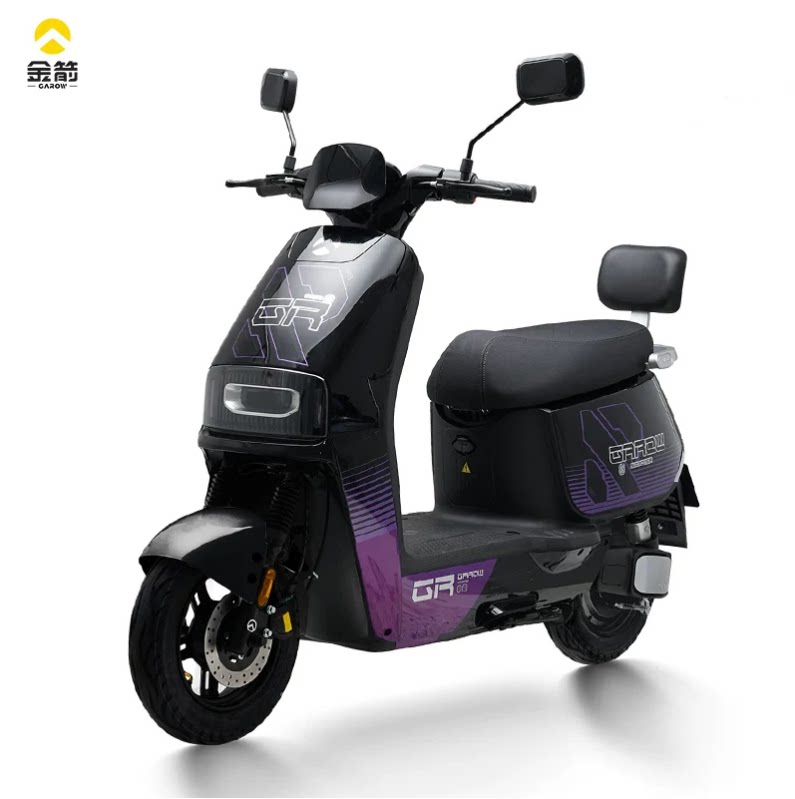 金箭电动两轮摩托车天路RZ300成人60V代步接送小孩72v智能新款