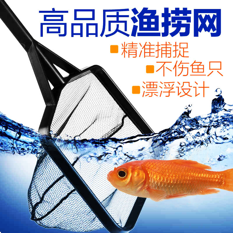 鱼捞小鱼网小渔网鱼捞网迷你型鱼缸网兜金鱼网捞手抄网渔捞捞鱼网