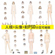 高清男女人体模特头像鞋 PS素材职业商务服装 设计效果图手绘画正面