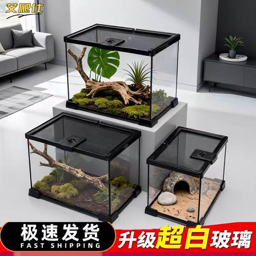 防逃玻璃饲养箱爬虫缸雨林陆龟守宫蜥蜴角蛙蜘蛛甲虫宠物蛇玻璃缸