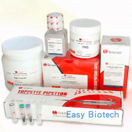 Mice il8   IL-8/CXCL8 ) ELISA Kitin the Lubricating/Tackiness/Reagents/Lab Supplies, Reagents category - from Buy2taobao.com to provide professional Taobao agent buy service