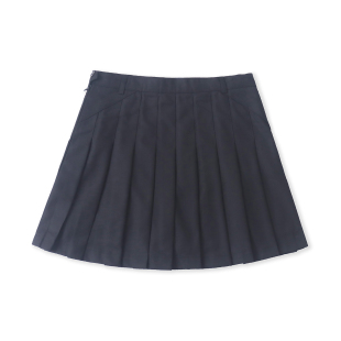 活泼休闲 小清新减龄 纯色百褶半身短裙 新款 春夏外贸韩版
