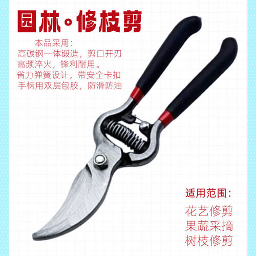 修剪树枝剪刀剪枝剪刀果树剪刀剪花枝园艺修花修枝果枝剪省力园林