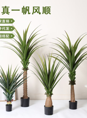 仿真绿植一帆风顺剑麻假树盆栽室内客厅落地装饰摆件仿生植物造景