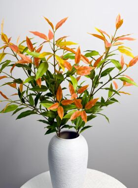 红车叶仿真绿植厂家 红车木盆栽四季绿植红枝盆景彩叶绿植现货