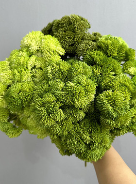 软胶米仔果仿真花厂家 绣球果假花手感多肉植物软装花艺软胶花菜