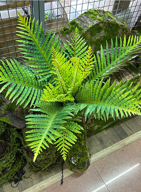 仿真龙骨蕨植物墙配材酒店橱窗山丘造景大蕨草盆景装饰波斯草