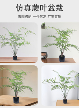 北欧风仿真绿植蕨叶盆景摆件室内客厅落地装饰蕨类假植物盆栽造景