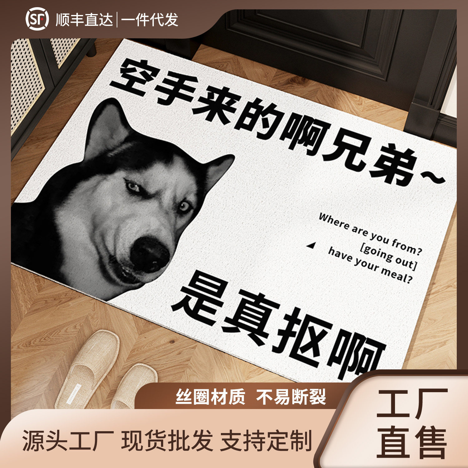 厂家定制新丝圈入户门地垫高级感进门玄关门入门垫支持一件拿样图片