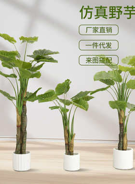 北欧风仿真绿植野芋叶假树盆栽室内客厅落地装饰摆件仿生植物造景
