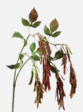 软胶豌豆荚仿真绿植豆角扁豆线条造型婚礼小众绿叶样板间陈列装饰