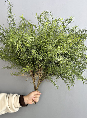 仿真金鱼草天门冬植物把束蕨类水草室内插花景观装饰摄影蕨类植物