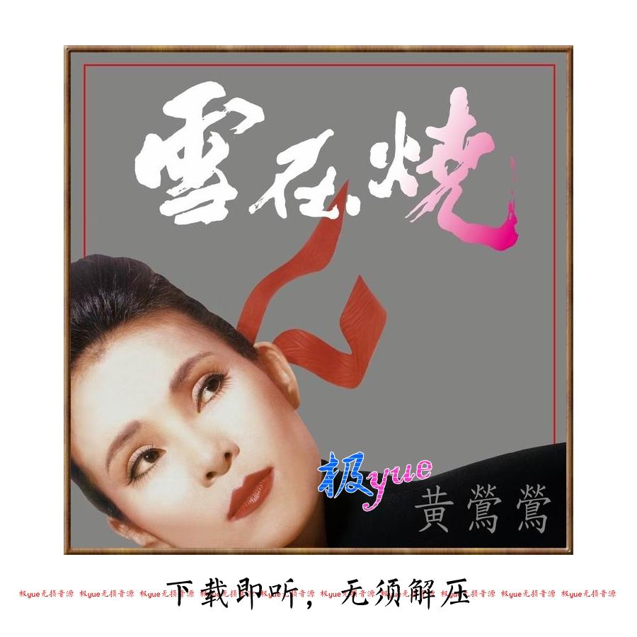 黄莺莺 实销20+【总店俱乐部无损】全方位精校 正方形封面 图页详