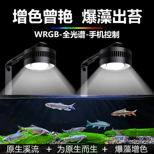 鱼缸筒灯WLED水草灯全光谱爆藻超亮专用照明专业南美原生溪流海缸