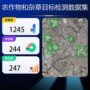 yolo目标检测数据集 农作物和杂草深度学习目标检测数据集 带标注