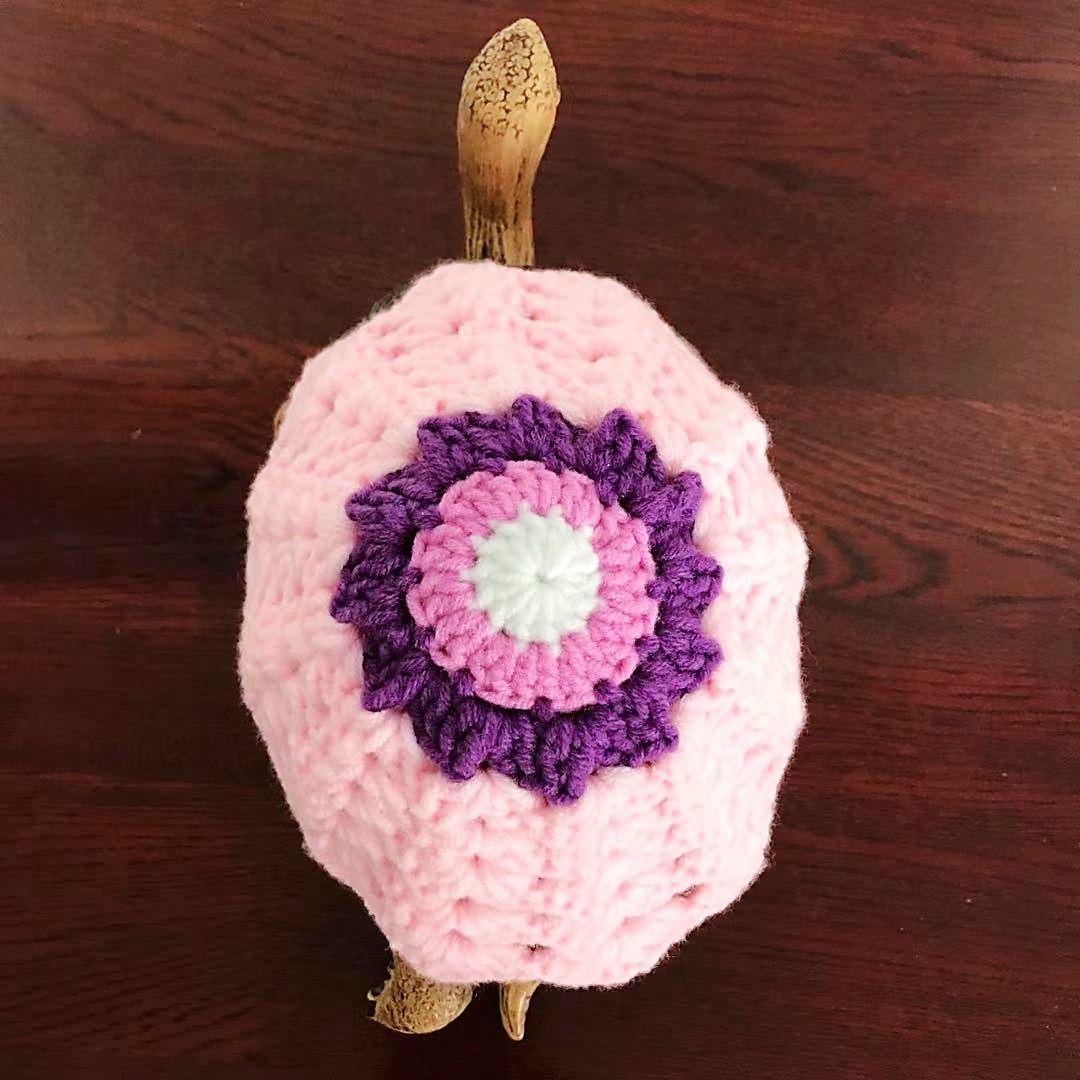 宠物乌龟衣服巴西龟陆龟毛衣水龟小乌龟宠物用品预定可爱龟龟衣服,宠物/宠物食品及用品,猫宠物服装/雨衣（新）,淘宝优惠券,粉丝福利购,淘宝优惠卷