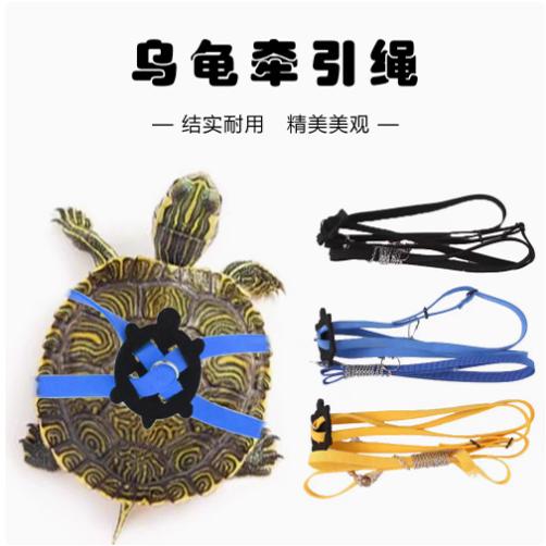 乌龟牵引绳陆龟绳水龟龟宠物用品