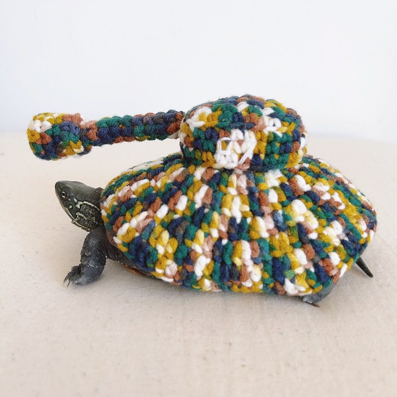 新款乌龟衣服宠物用品坦克服陆龟水龟通用乌龟马甲保暖变装可爱,宠物/宠物食品及用品,其它服饰配件,淘宝优惠券,粉丝福利购,淘宝优惠卷