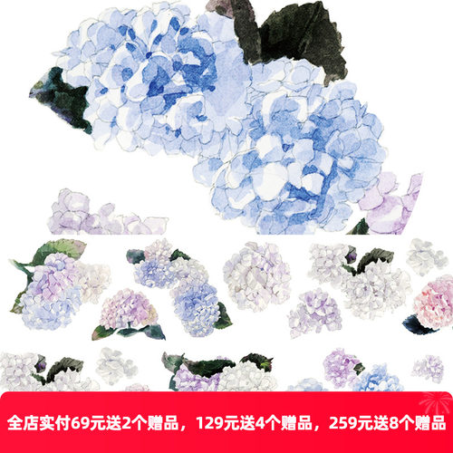 新七天亮面整卷绣球花和纸胶带
