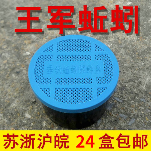 蚯蚓盒装鲜活大平二号垂钓饵料