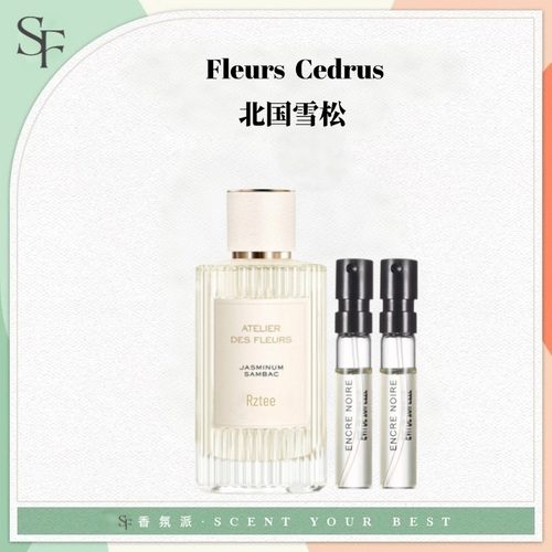 北国雪松木兰诗语肉粉雪白灰绿丝带烟雨茉莉恋旅小猪包浓香水小样