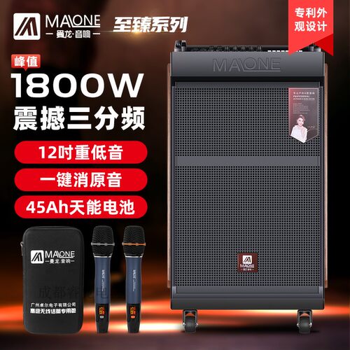 曼龙单十二广场舞户外演出音响