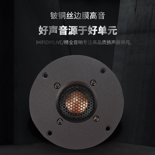 精全铝面板进口铍铜丝喇叭单元