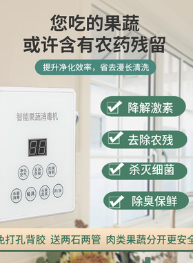 跨境智能果蔬消毒机清洗机食材净化器臭氧发生器活氧消毒家用农残