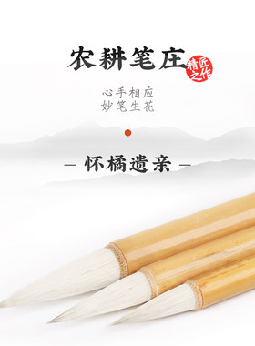 雨来轩 怀橘遗亲 羊兼毫 书法兼毫 国画专用毛笔中楷兼毫毛笔初学