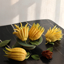 现摘现发金华佛手鲜果佛手柑清供闻香观赏水培新鲜香橼佛手可食用