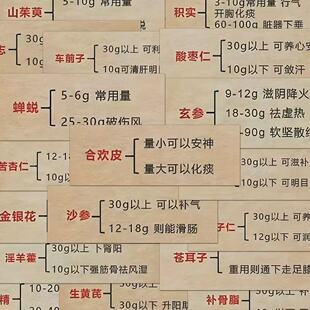饰 中医药贴纸学习考研笔记学生文字54张手帐行李箱电脑手机DIY装