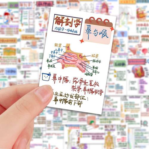 医学生解剖医学创意贴纸贴画手账