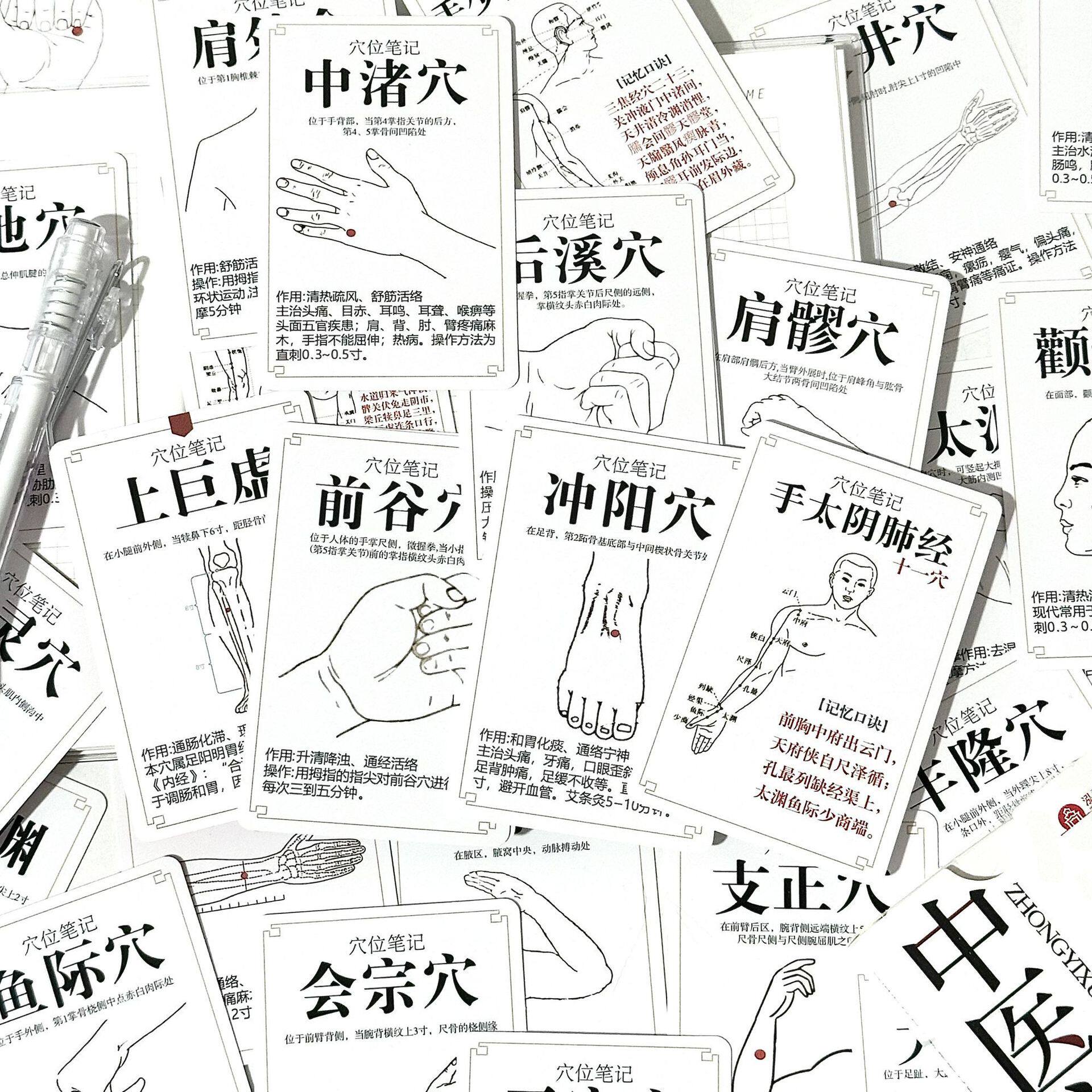 入门图解针灸养生卡片大全贴纸