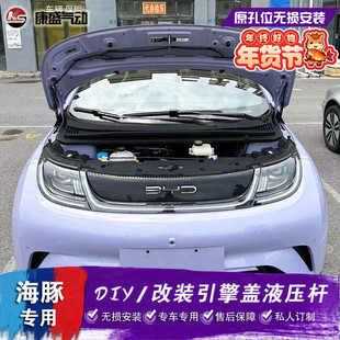 比亚迪海豚改装引擎盖液压杆海鸥唐宋元plus前备箱自动液压杆配件