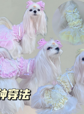 马尔济斯吊带衣服约克夏小体宠物凉快夏装薄可拆卸短吊带个性百搭