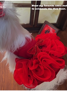 狗狗新年加绒连衣裙马尔济斯约克夏红色礼服裙喜庆高级结婚衣服冬
