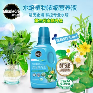 清仓美乐棵水培植物绿萝富贵竹吊兰铜钱草水养花卉营养液体肥料