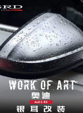 适用于奥迪A3/A4L/A5/A6L/A8/Q3/Q5L/Q7改装后视镜壳电镀GRD银耳